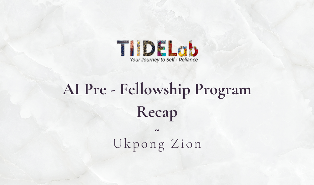 Recap: TIIDELAB AI Pre-fellowship Experience