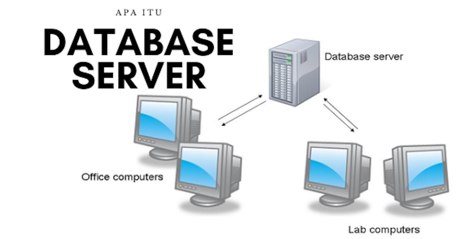 Server Dan Database