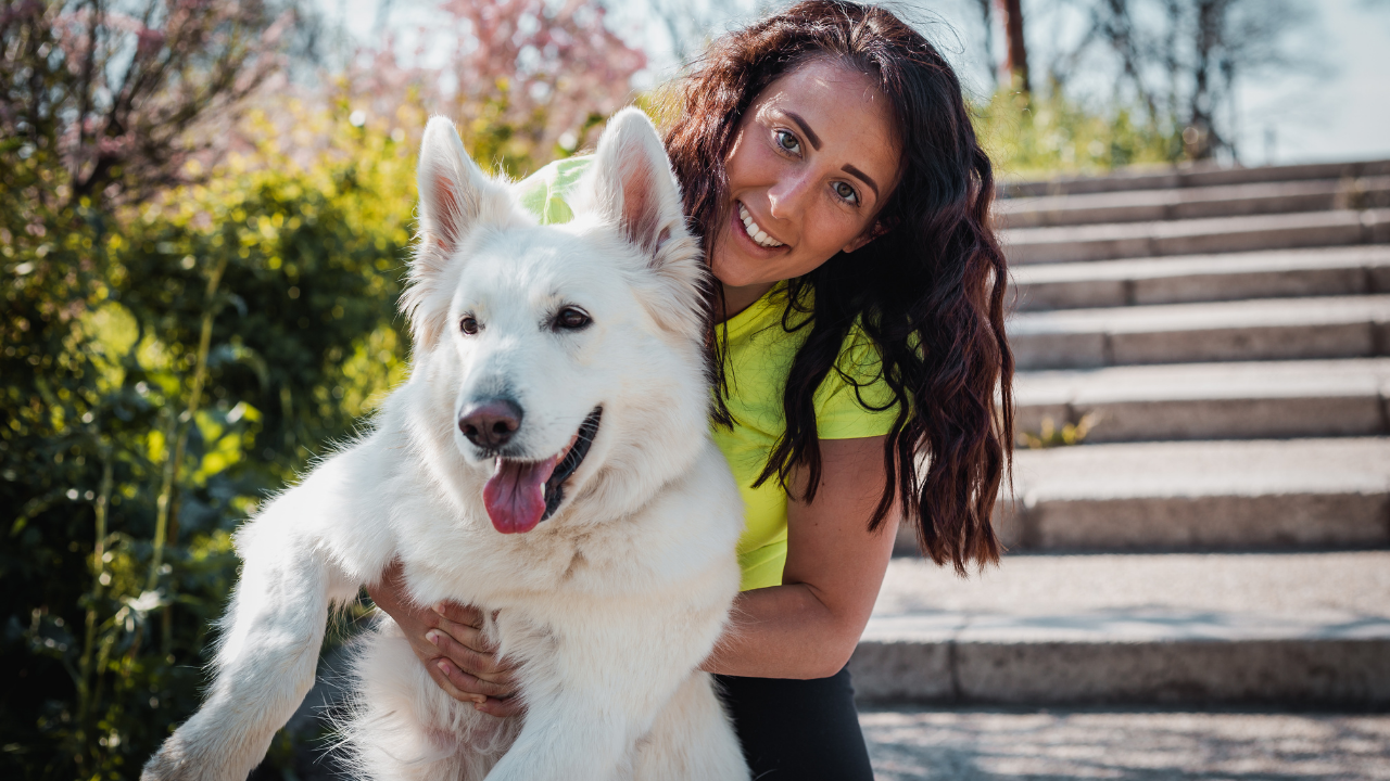 husky ve ona sarılan sahibi