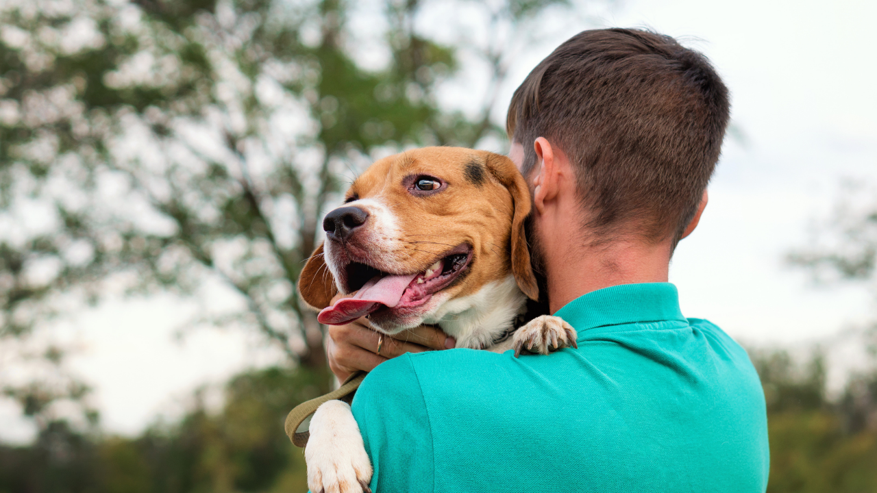 köpek sahibine sarılıyor