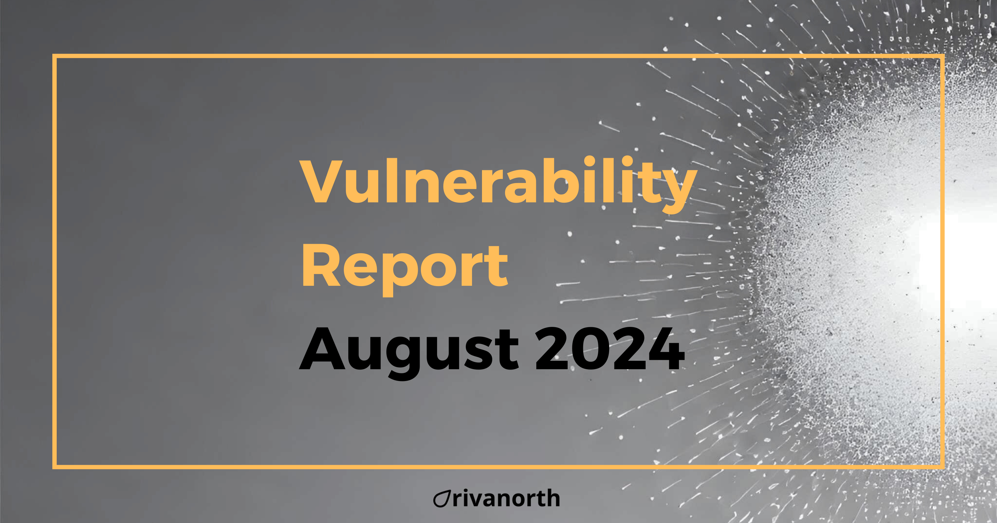 Vulnerability Report: August 2024