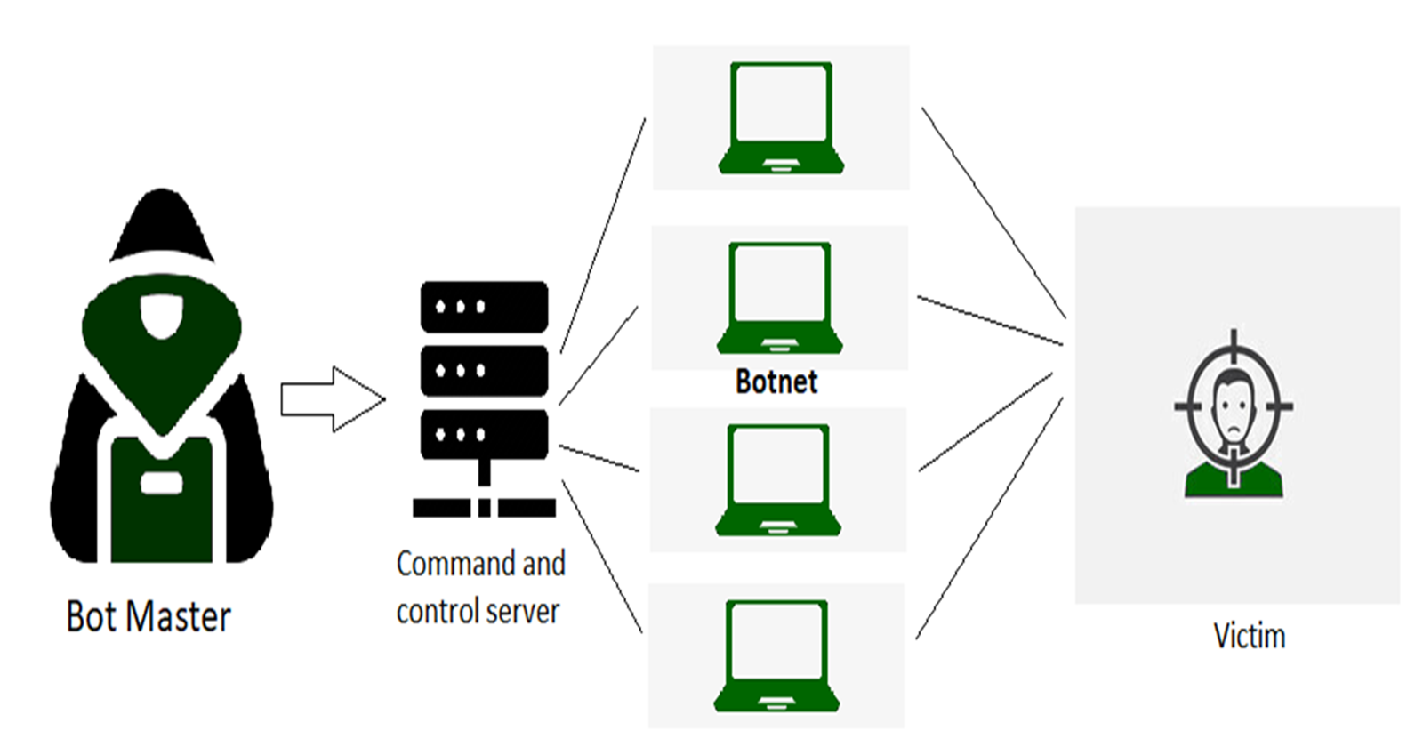 What is a Distributed Denial-of-Service (DDoS) Attack?