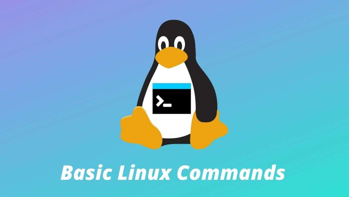 Top 50 Most Commonly Used Linux Commands