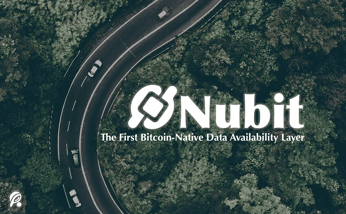 An introduction to Nubit: the first Bitcoin-native data availability layer.