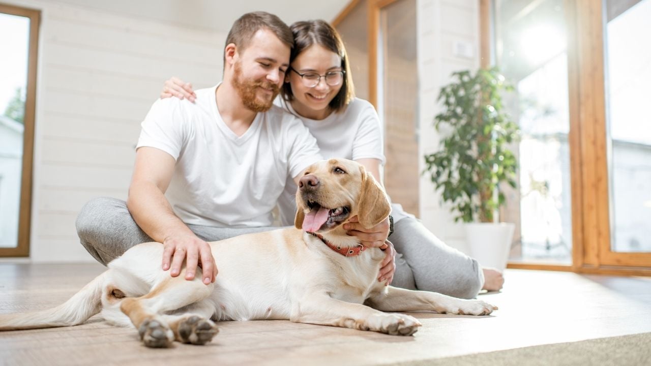 ailesiyle mutlu bir şekilde yaşayan köpek