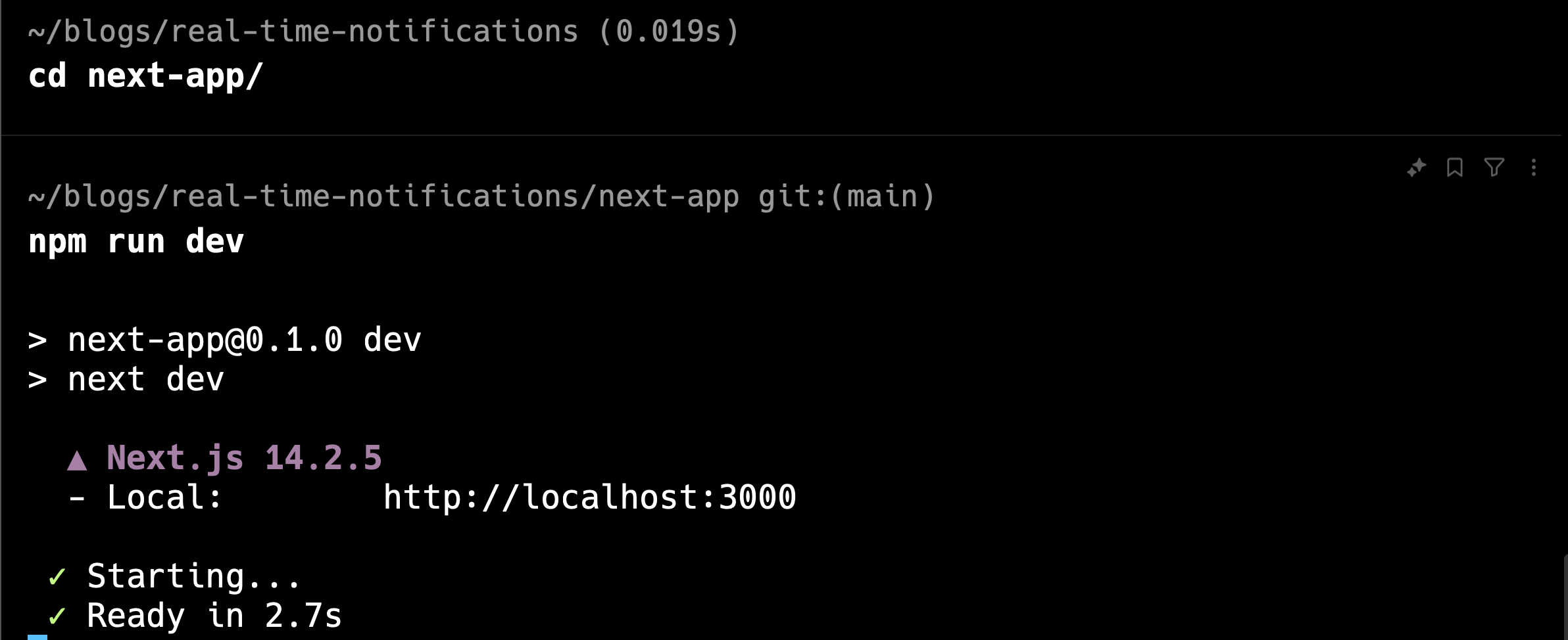 starting next.js application on localhost