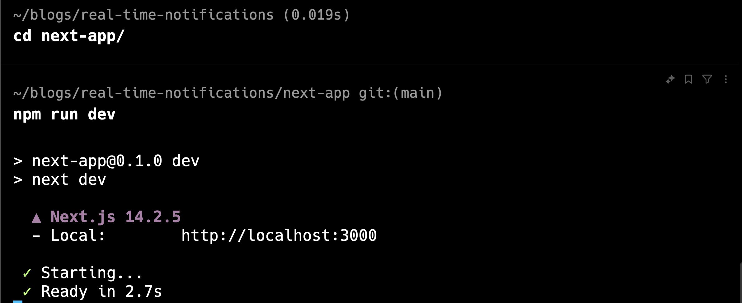 starting next.js application on localhost