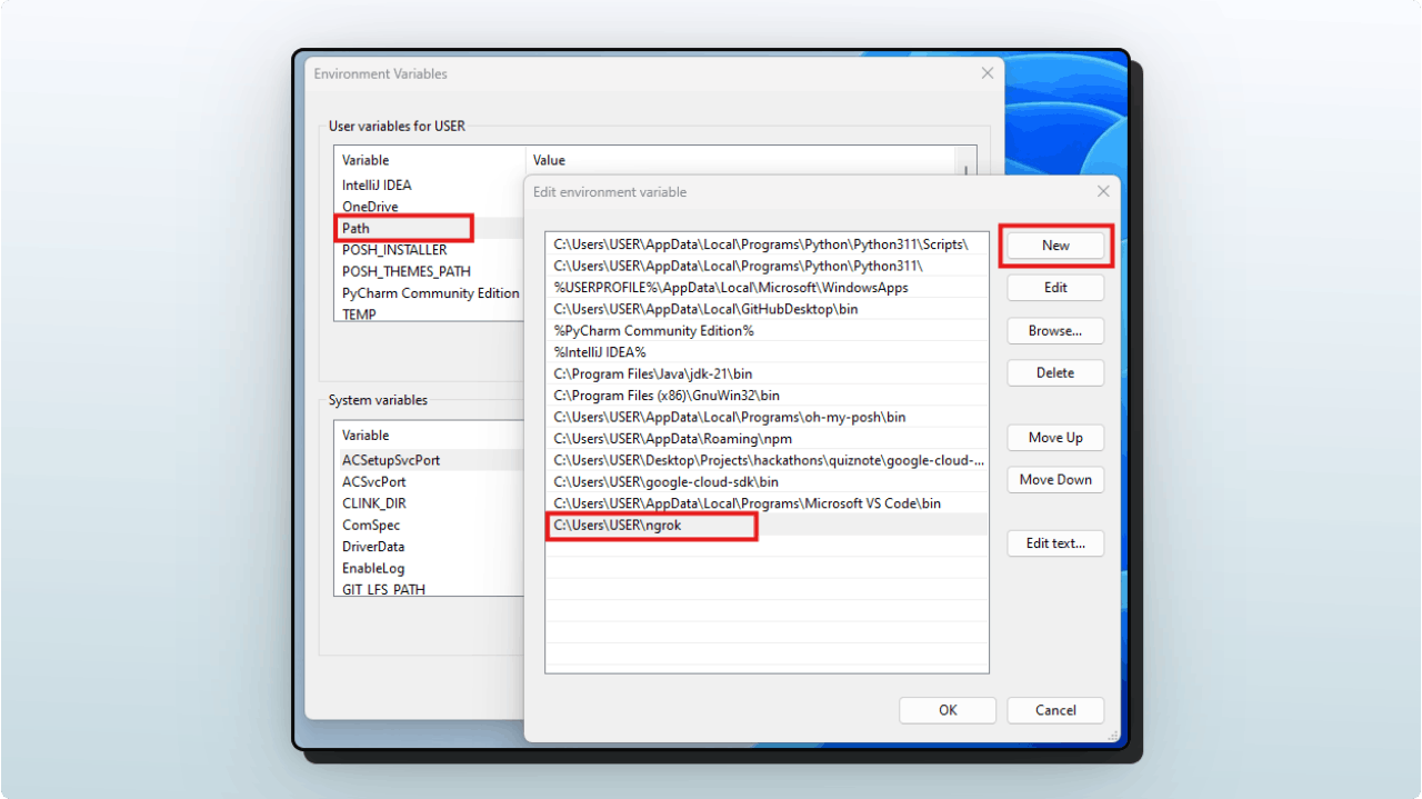 ngrok folder location added to environment variable path