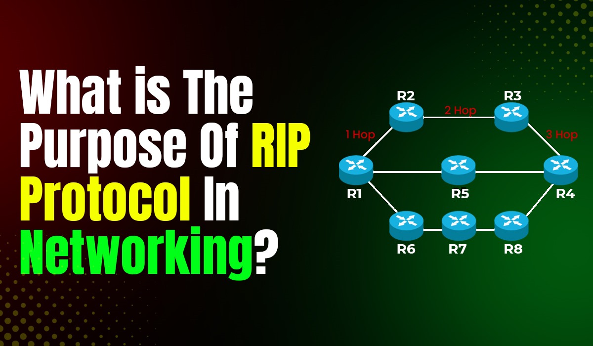 What is the Purpose of RIP Protocol in Networking?