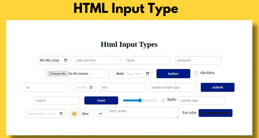 Understanding HTML Input Types and Their Uses