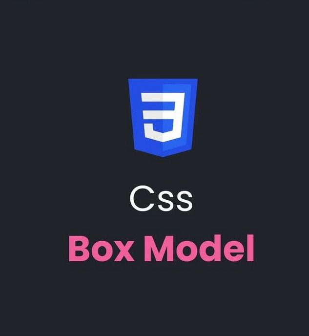 CSS Box Model