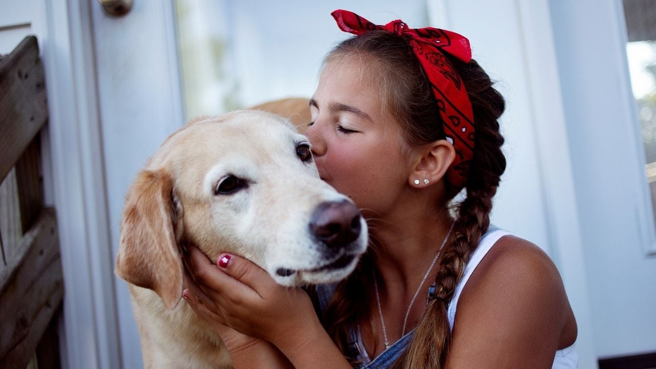 bir kız çocuğu köpeğini öpüyor