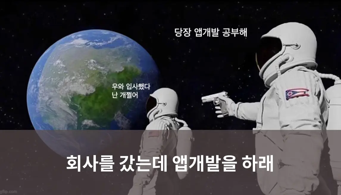 11개월만의 취업과 크로스플랫폼 프레임워크에 대한 고민(with. flutter)