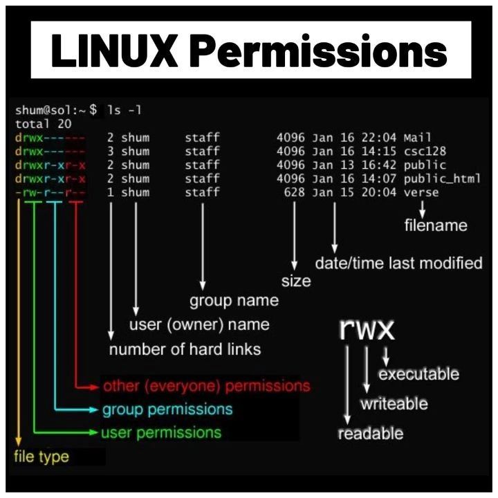 Linux File Permissions - A Key to System Security and Management