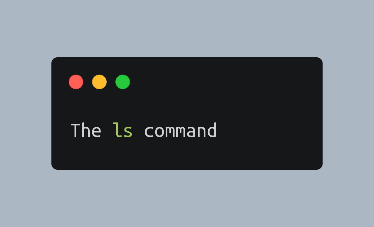 The Power of the ls Command: A Comprehensive Guide