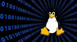 Elevate Your Linux Proficiency with These Advanced Commands