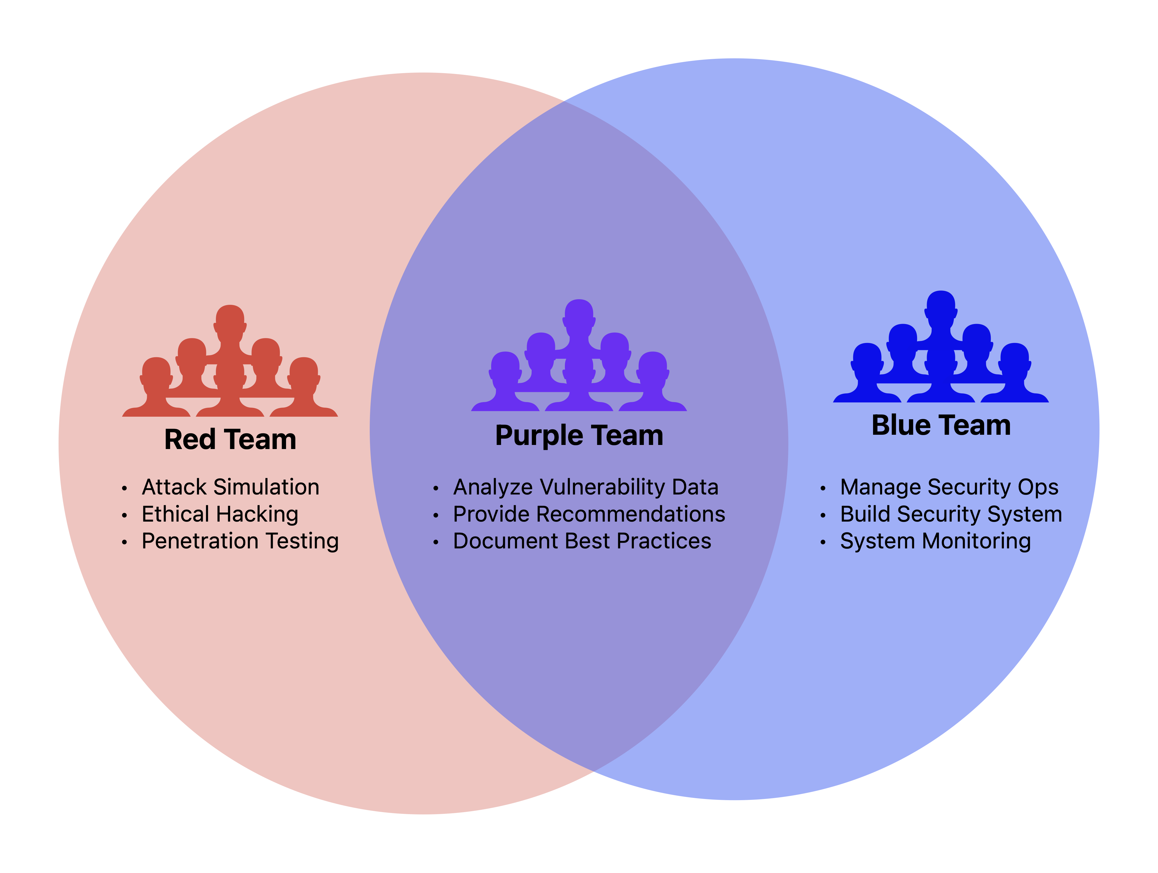 Red Teaming Organization