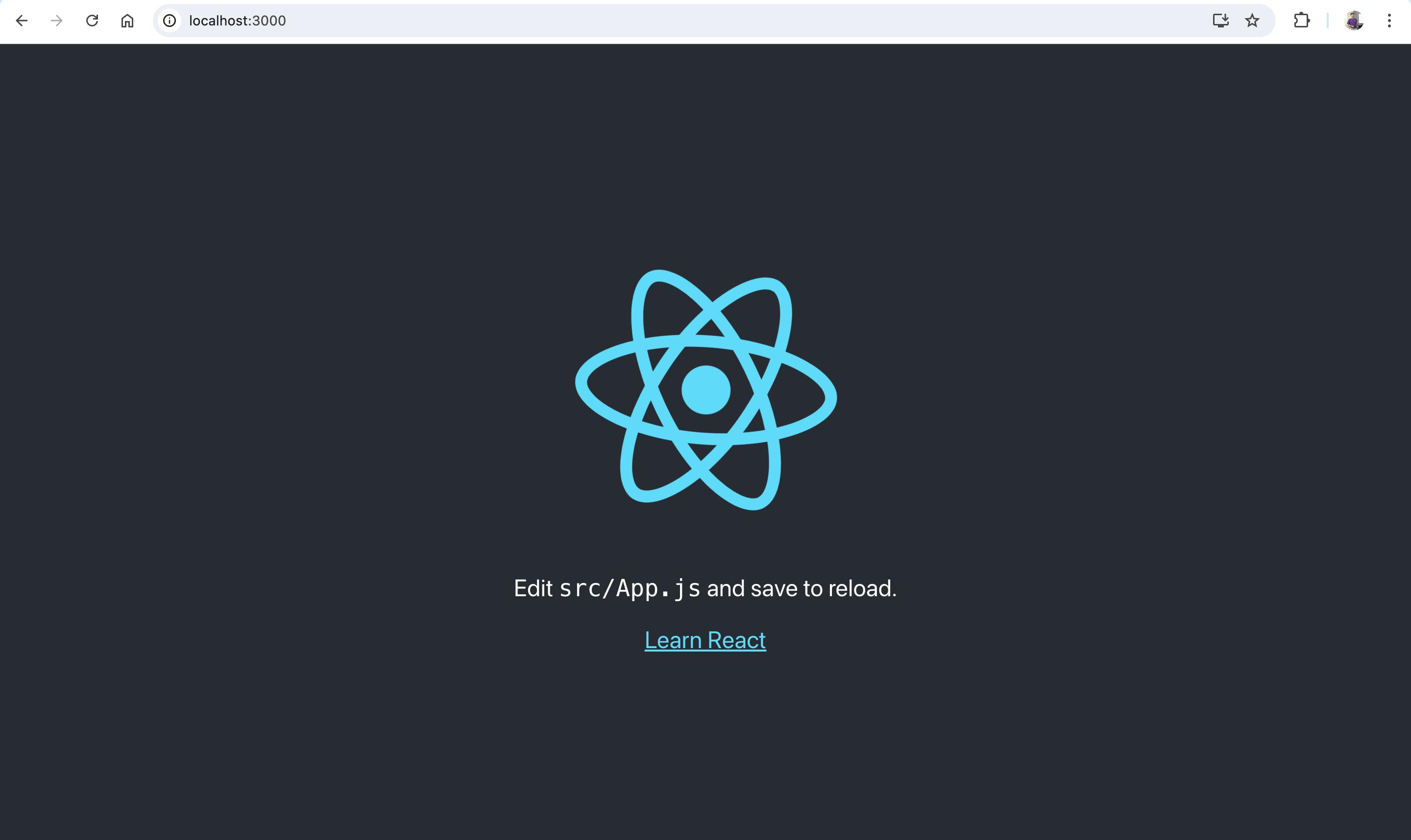 Launch the boilerplate React app