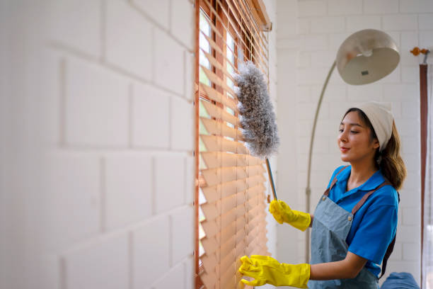 How to Clean Blinds: Tips from the Experts