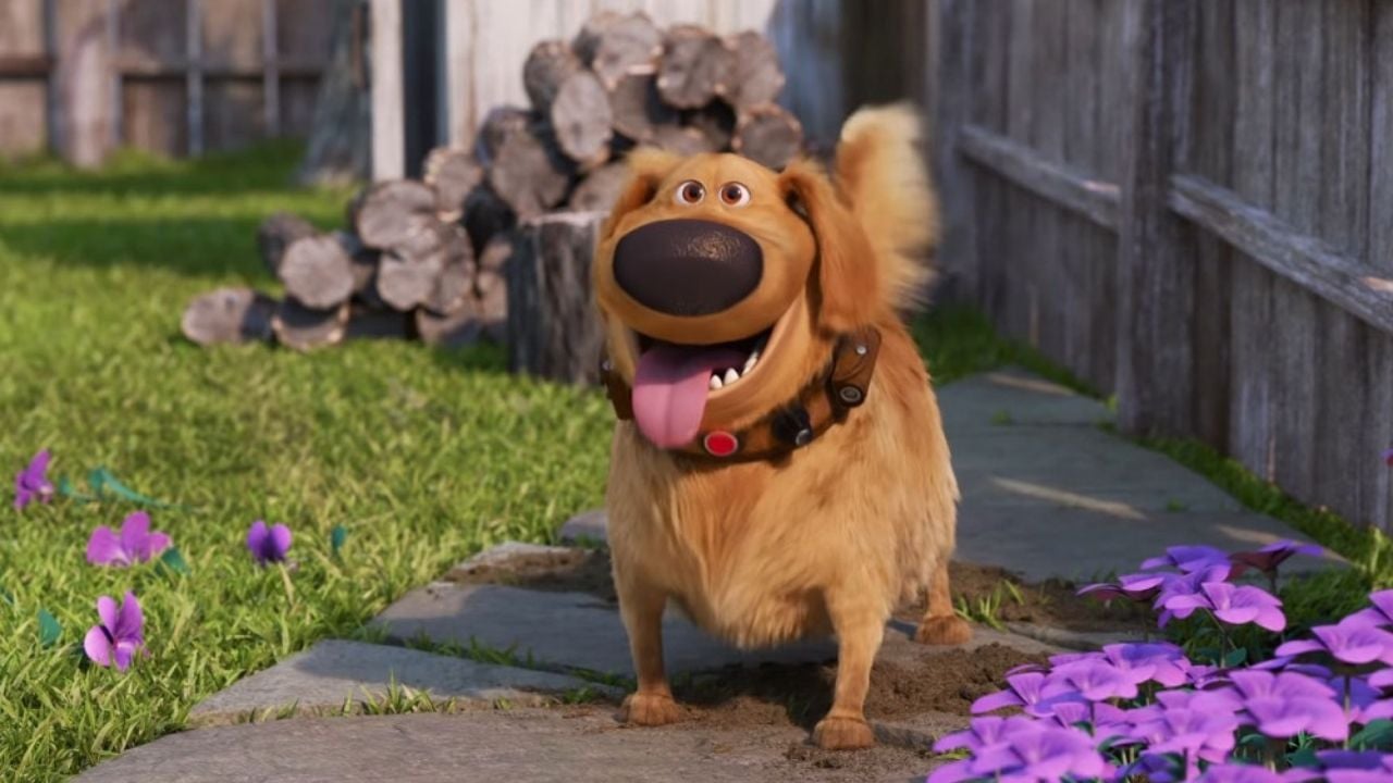 Dug (Up): Sadık ve konuşabilen bir köpek. (Erkek)