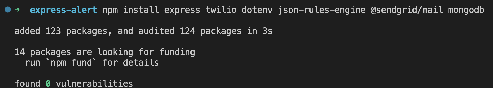 Screenshot displaying npm install command output: Indicates added packages, audited packages, packages seeking funding, and total vulnerabilities detected.