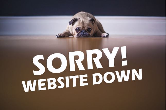 Postmortem Report: Website Outage