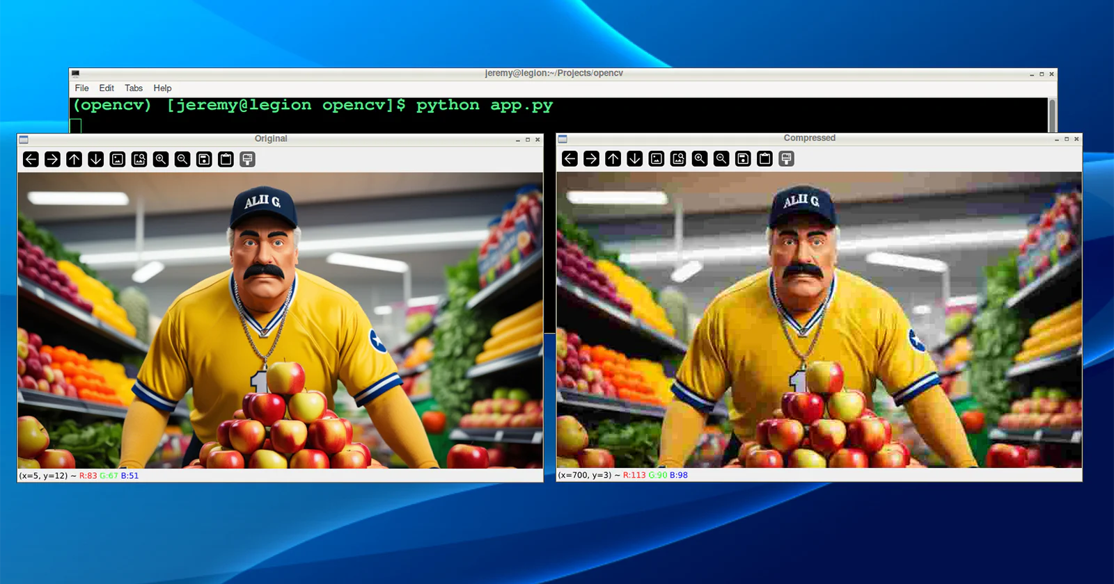 The Complete Guide to Image Compression with OpenCV