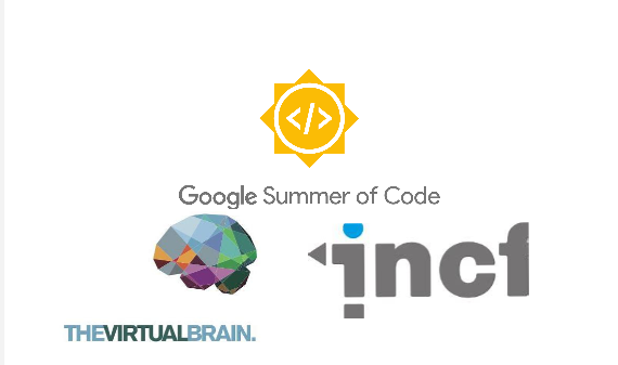 GSOC 2024 – The Virtual Brain  
(FINAL REPORT)