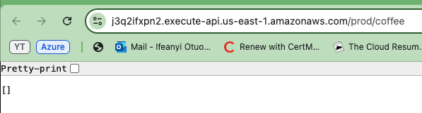 Empty list result when inserting API URL in browser.