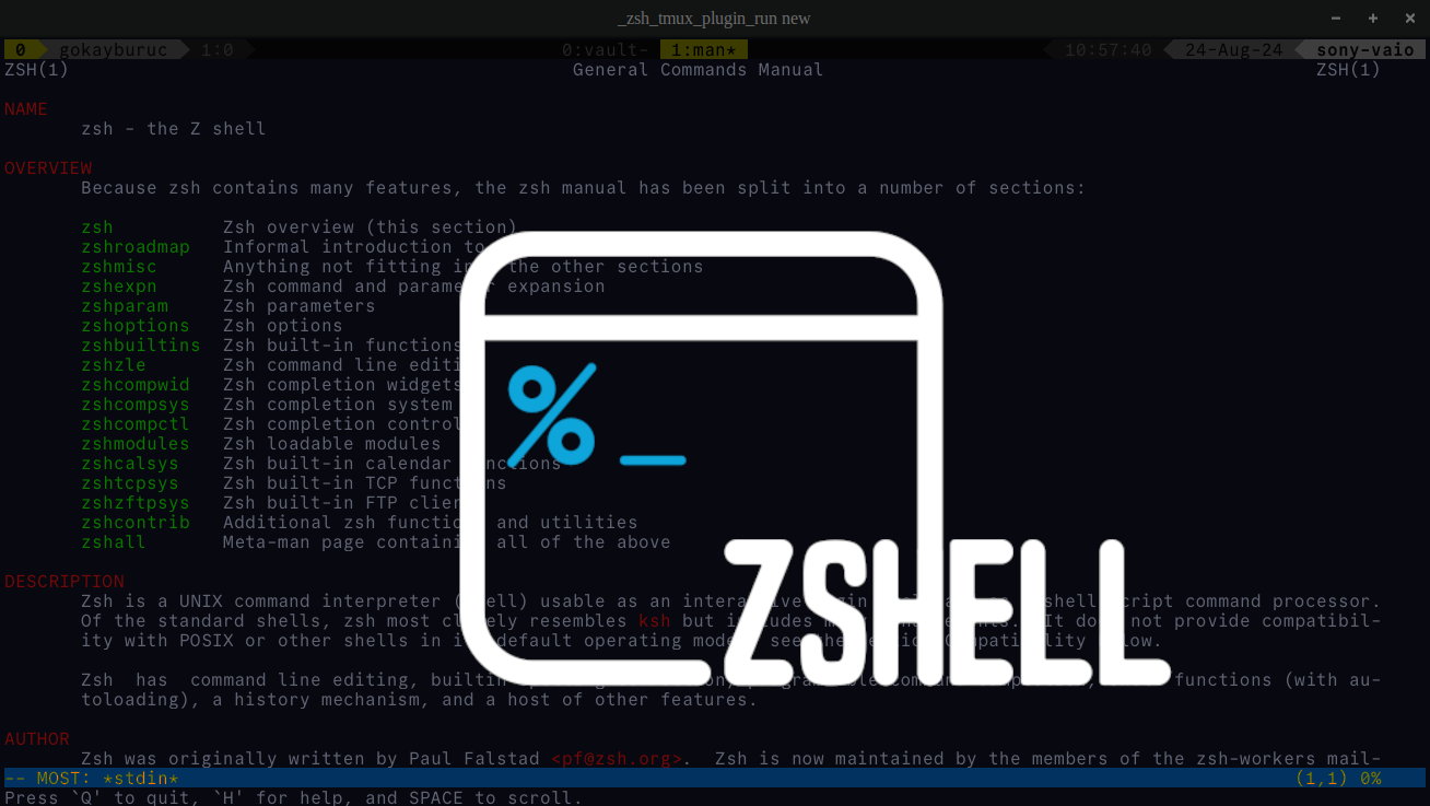 ZSH Config Ideas for Geeks