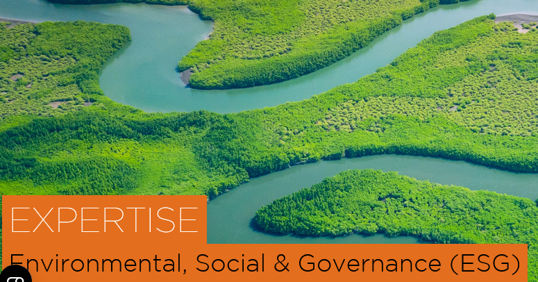 Environmental, Social & Governance (ESG) - Kinstellar