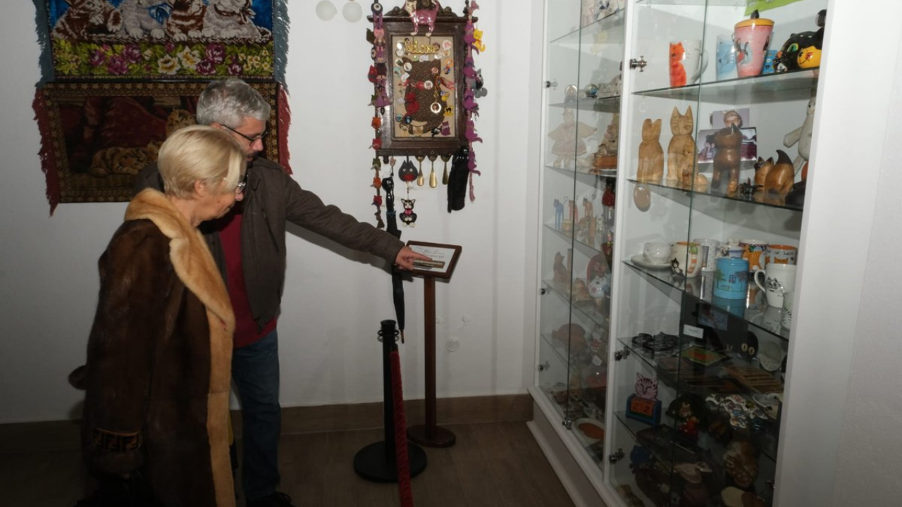 Berna Türemen Kedi Sanat Evi (Eskişehir Kedi Müzesi), kaynak: Sözcü