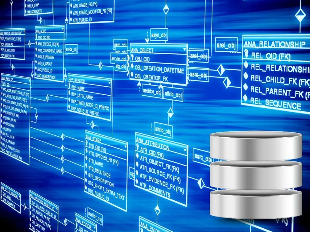 Database Scalability & Performance