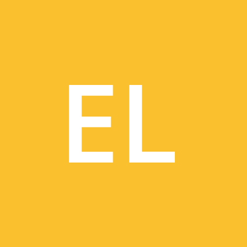 ElesaRay