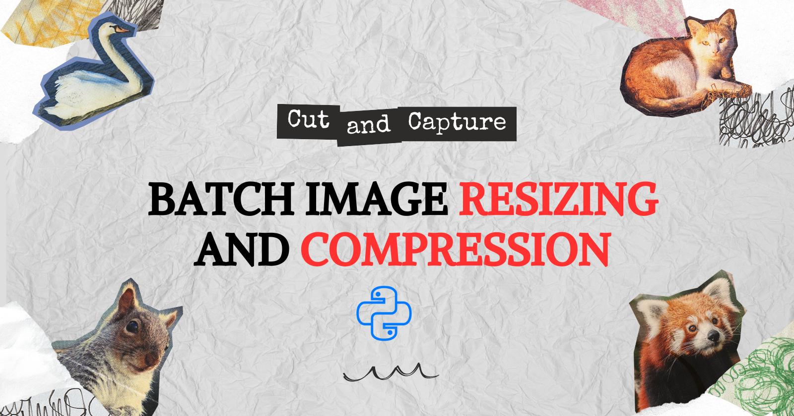 How to Use Python for Batch Image Resizing and Compression