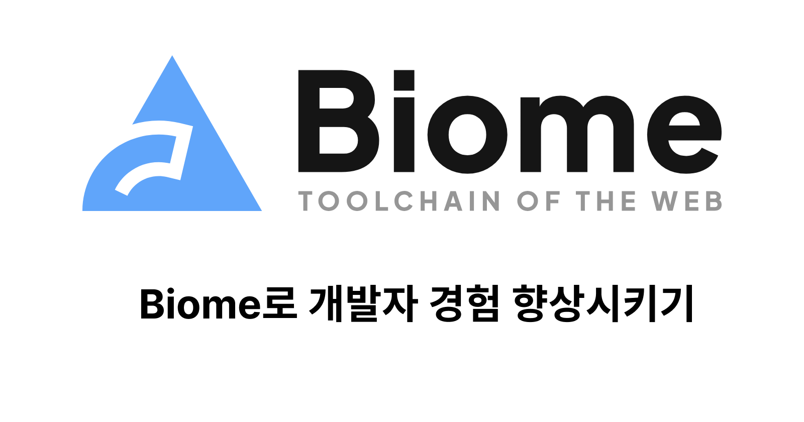 Biome로 개발자 경험 향상시키기