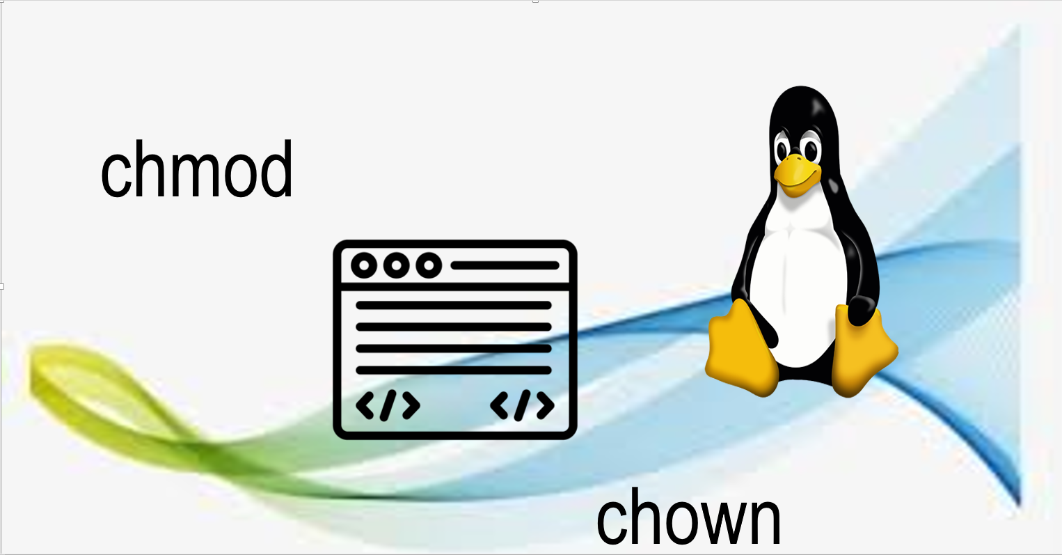 Unlocking Linux Power: Demystifying the Differences Between chmod and chown Commands"