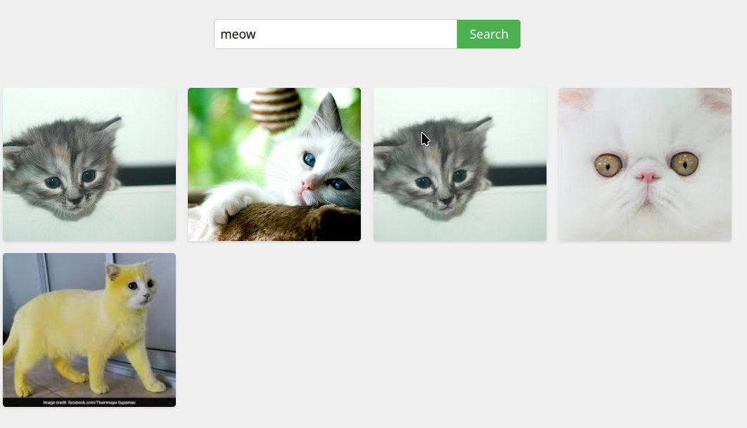 How I Built an Image Search Engine with CLIP and FAISS