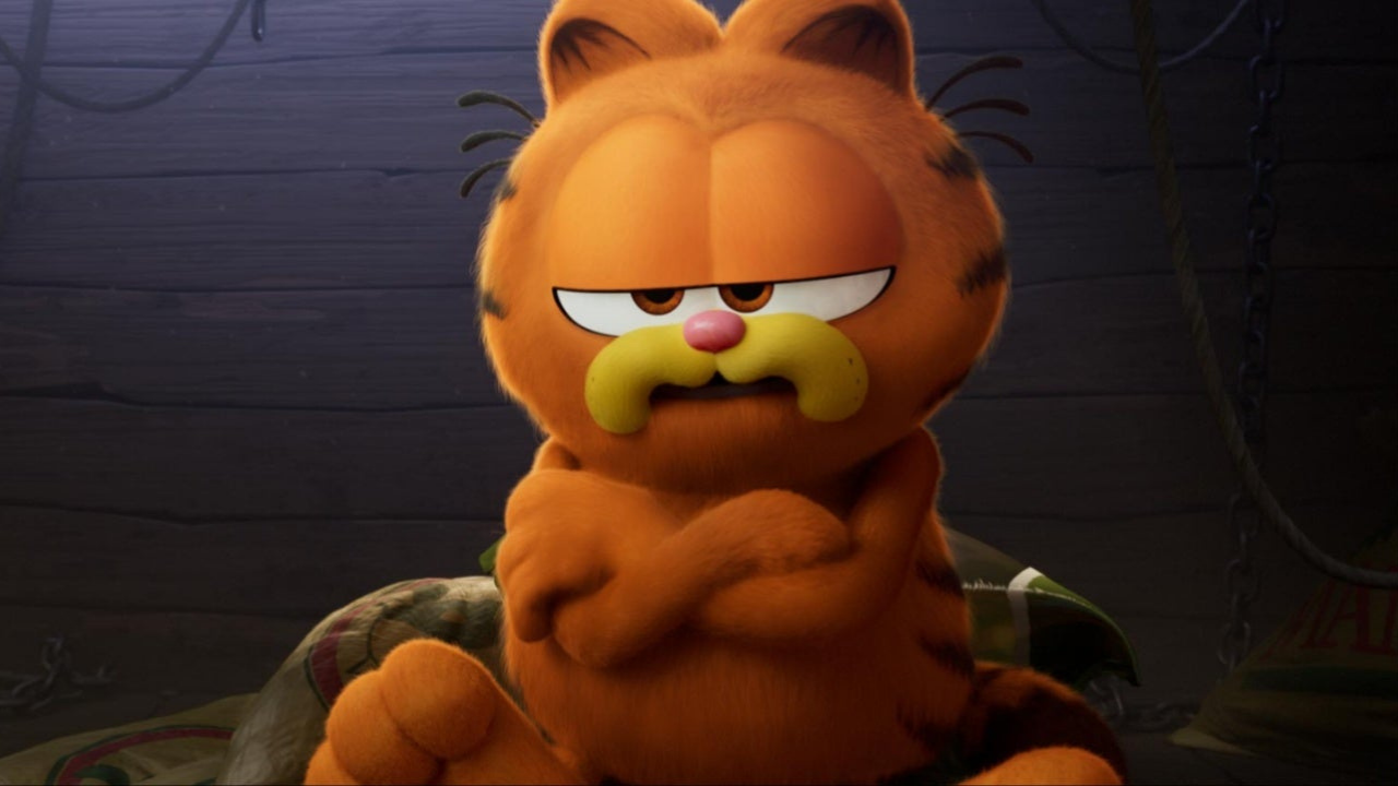 (Garfield): Turuncu kürklü, tembel ve mizahi bir kedi.