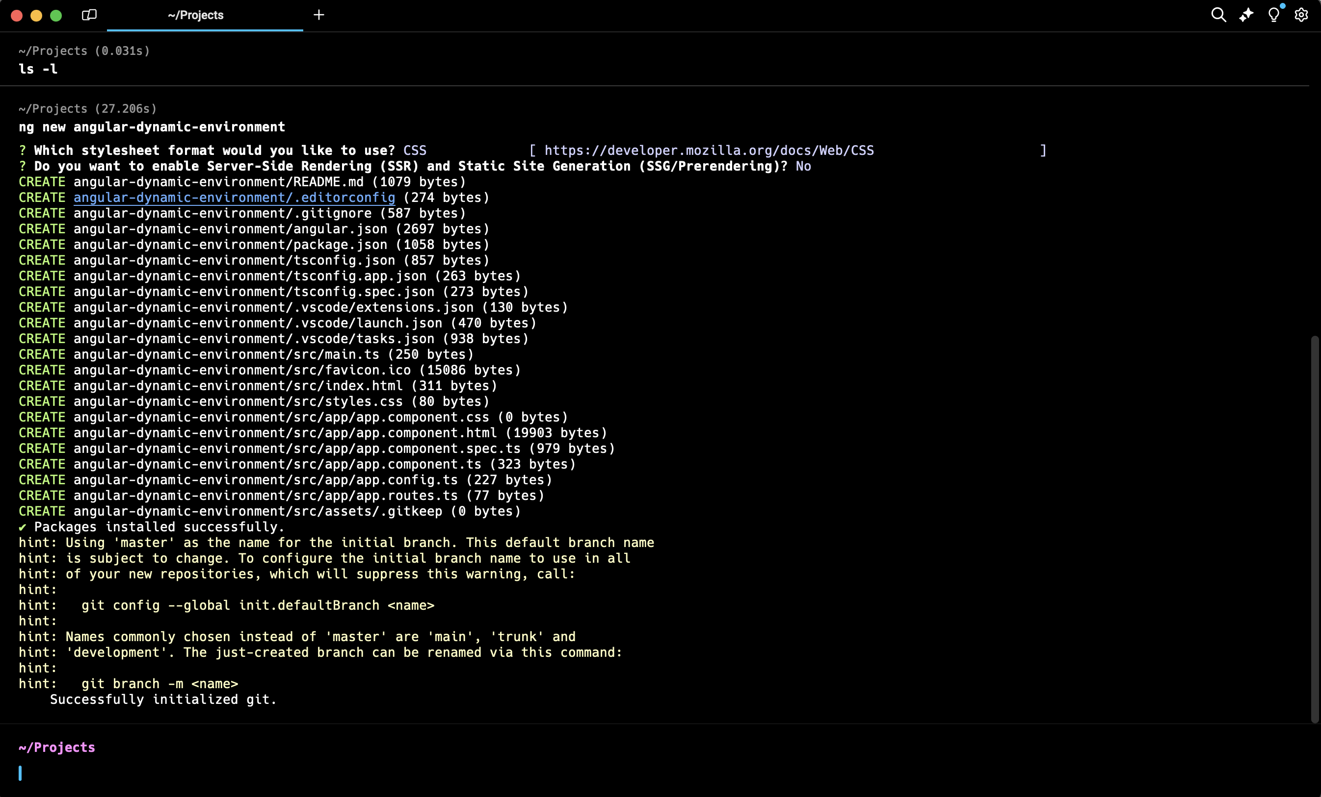 Output for "ng new angular-dynamic-environment" command in warp terminal