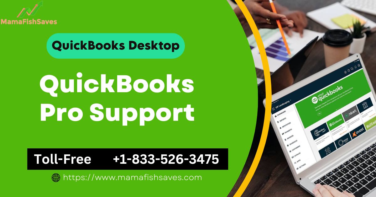 How to Set Up QuickBooks Pro Support for Your Small Business