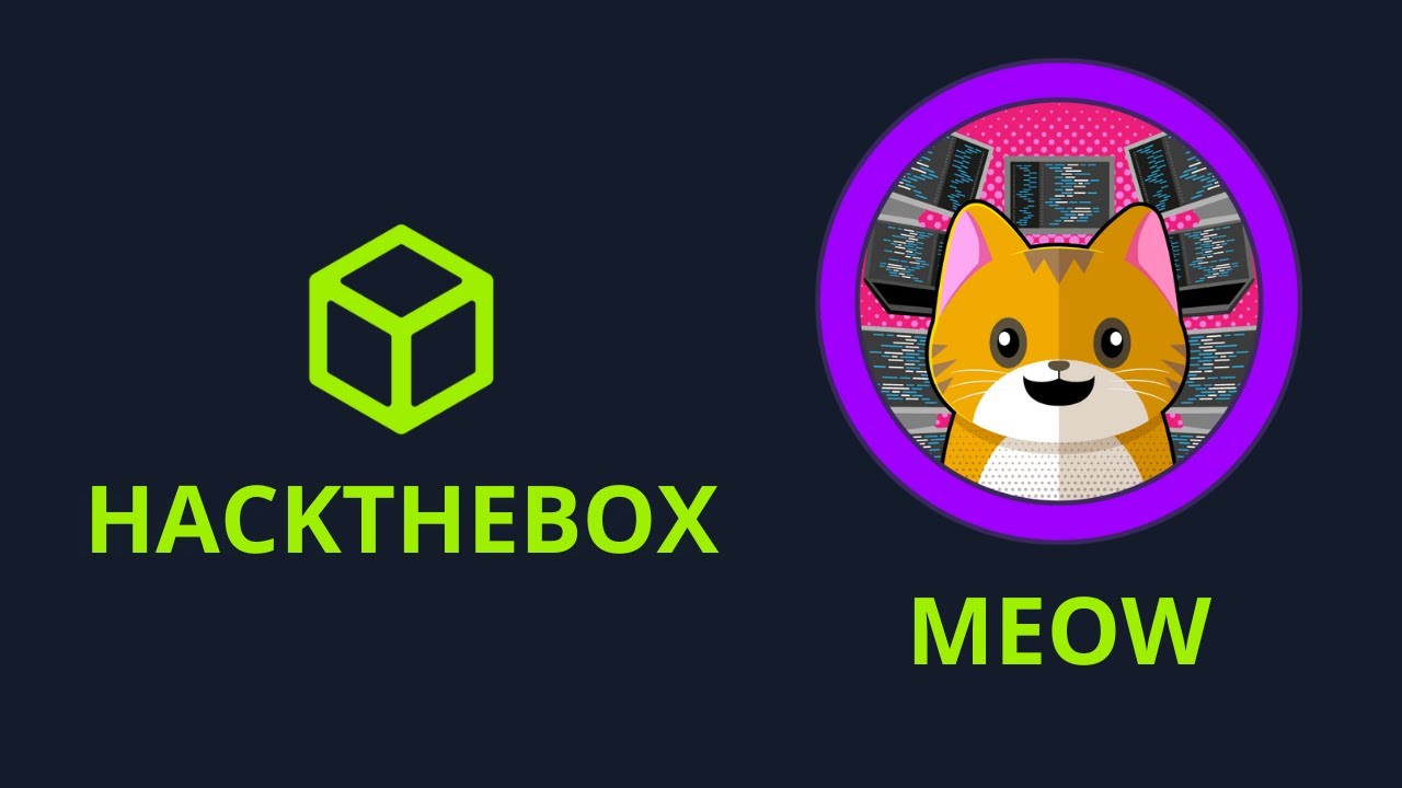 Hack the Box — Máquina Meow — Solución