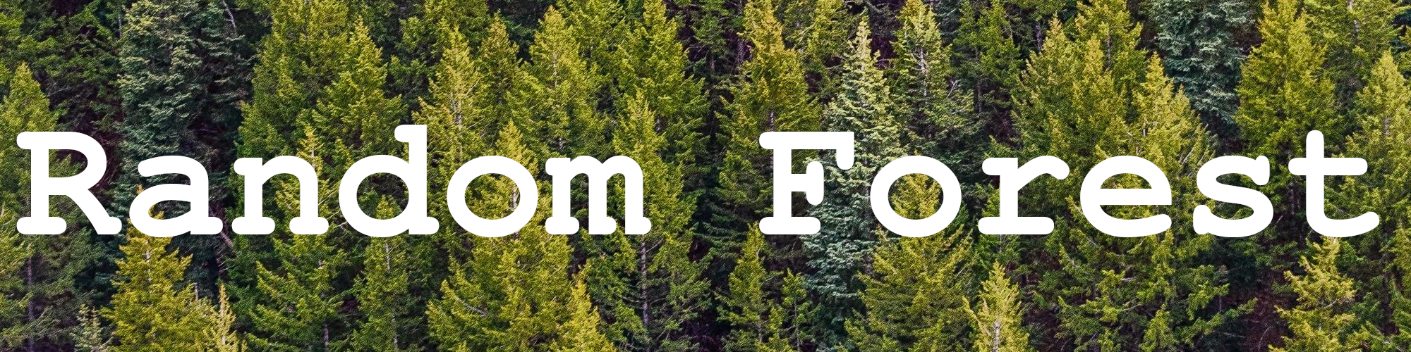 Random Forest