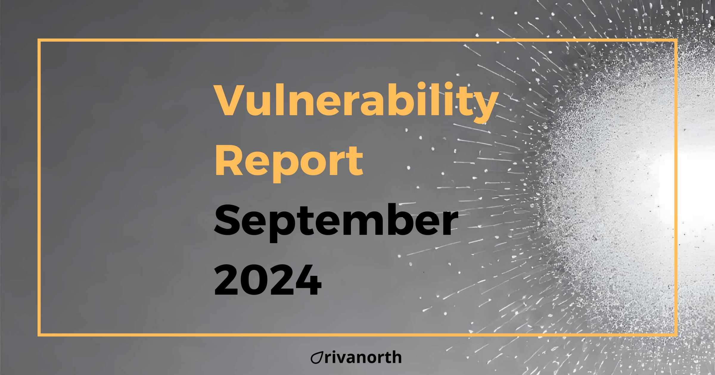 Vulnerability Report: September 2024