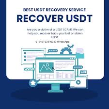 fake USDT sender software