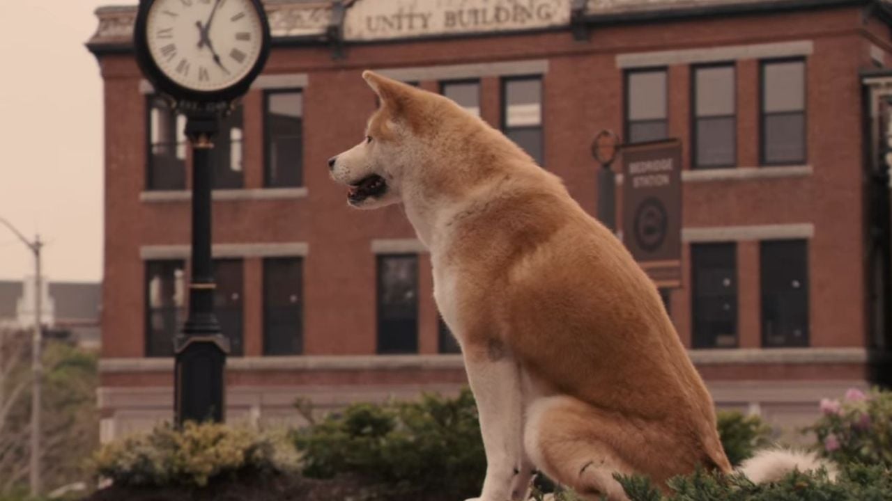 Hachi: A Dog's Tale, Hachiko: Bir Köpeğin Hikayesi (2009)