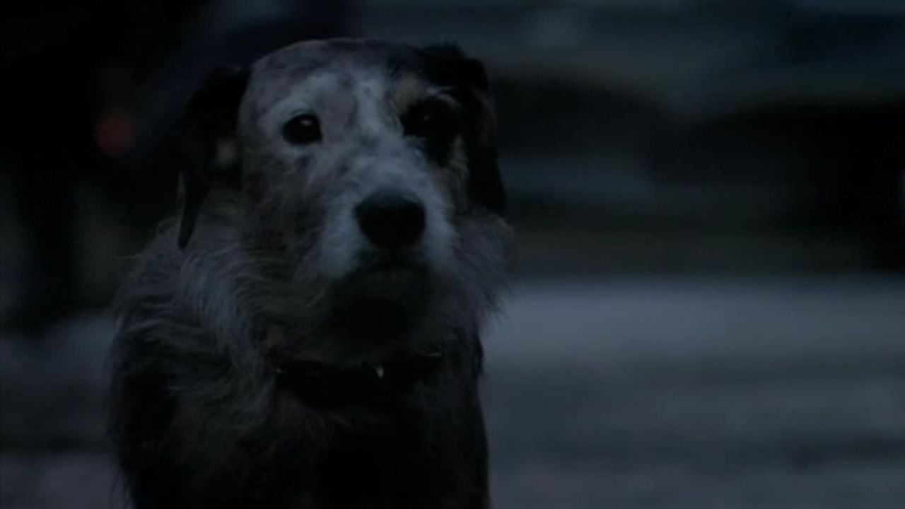 Pickles: The Dog Who Won the World Cup, Pickles: Dünya Kupasını Kazanan Köpek (2016)