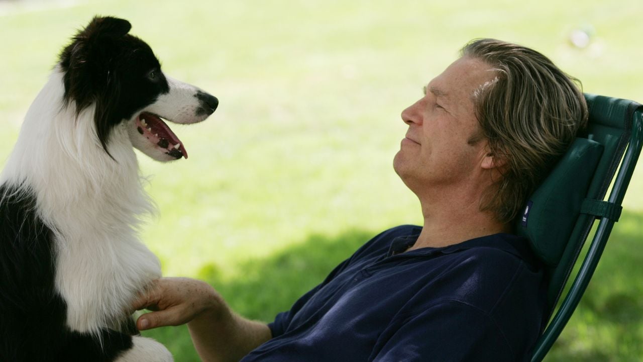 A Dog Year, Bir Köpek Yılı (2009)