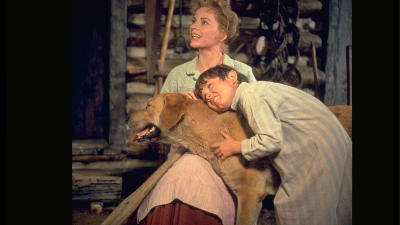 Old Yeller, Kahraman Köpek (1957)