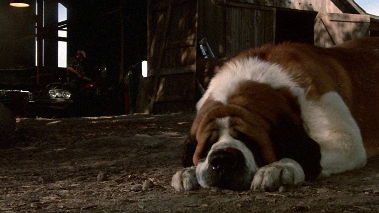 Cujo (1983)